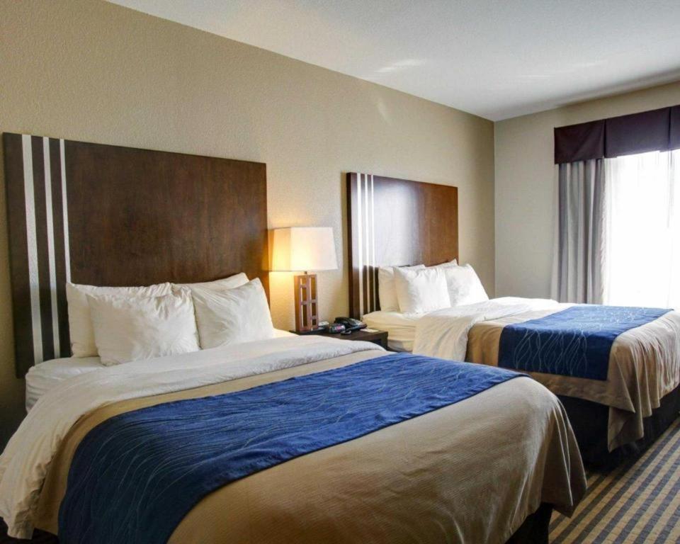 Comfort Inn & Suites Navasota Kültér fotó