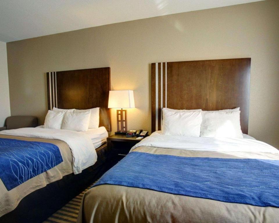 Comfort Inn & Suites Navasota Kültér fotó
