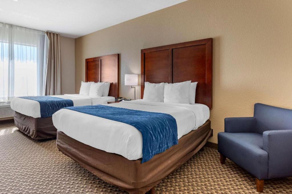 Comfort Inn & Suites Navasota Kültér fotó