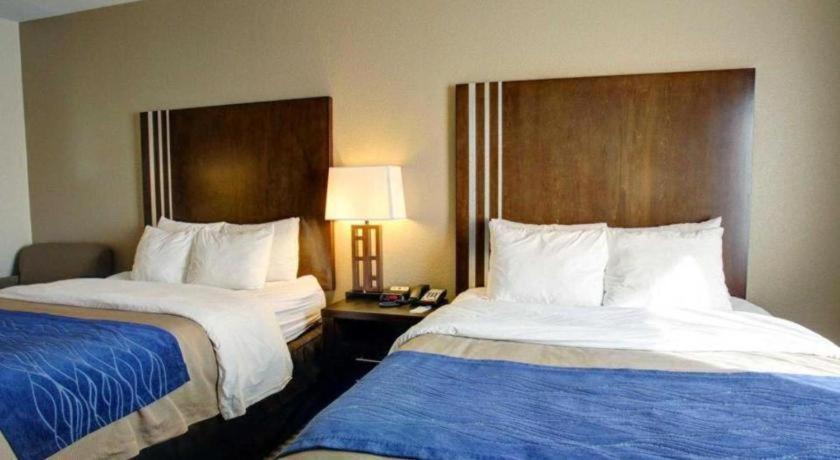 Comfort Inn & Suites Navasota Kültér fotó