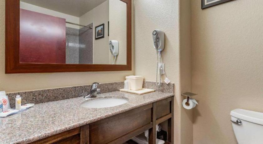 Comfort Inn & Suites Navasota Kültér fotó