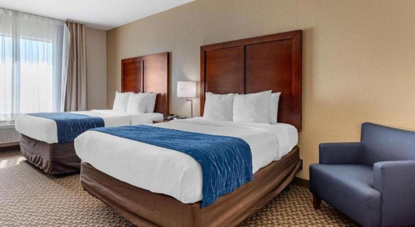 Comfort Inn & Suites Navasota Kültér fotó